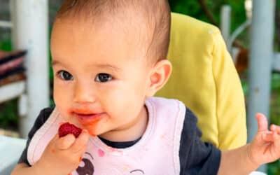 Rotina alimentar do bebê