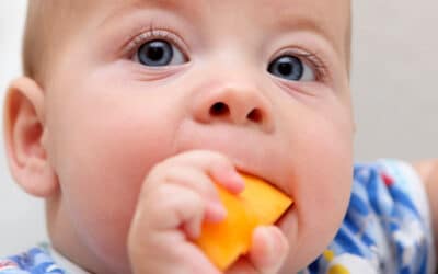 Alimentos permitidos na transição alimentar