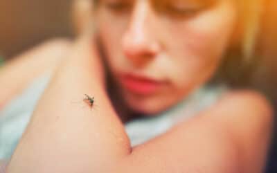 Chikungunya