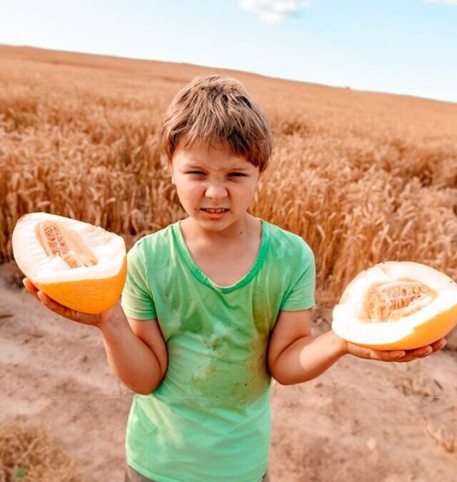 Produtos infantis sem disruptores endócrinos