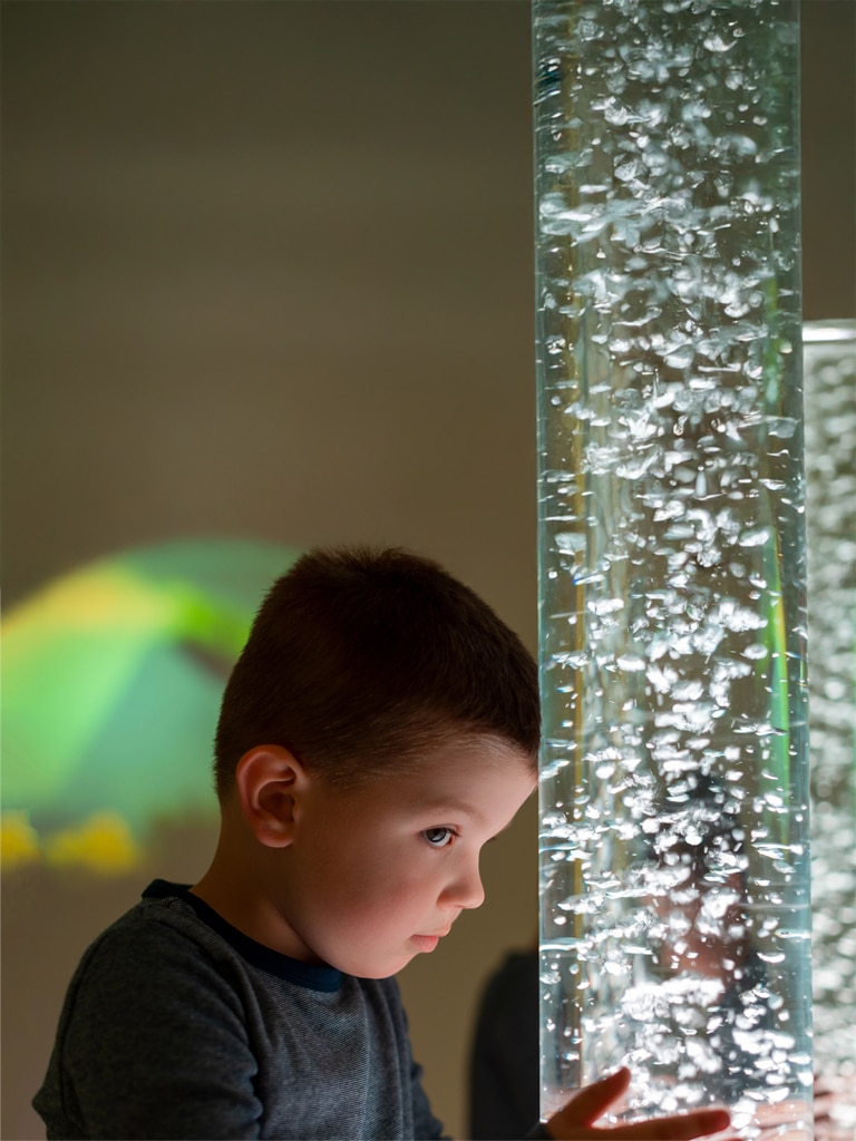 Transição alimentar