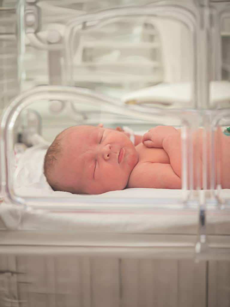 Transição alimentar